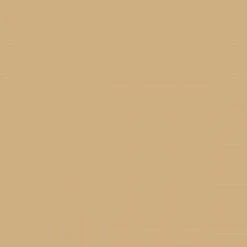 Mission Models MIOMMP-010 Gelbbraun RAL 8020 Acrylic Paint 1oz